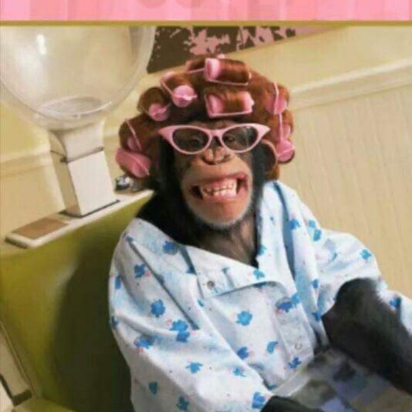 Meet your Posher, Susan - Picture 1 of 1